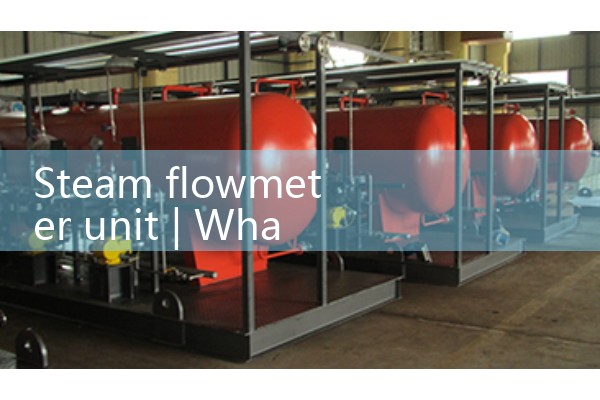 Steam flowmeter unit
